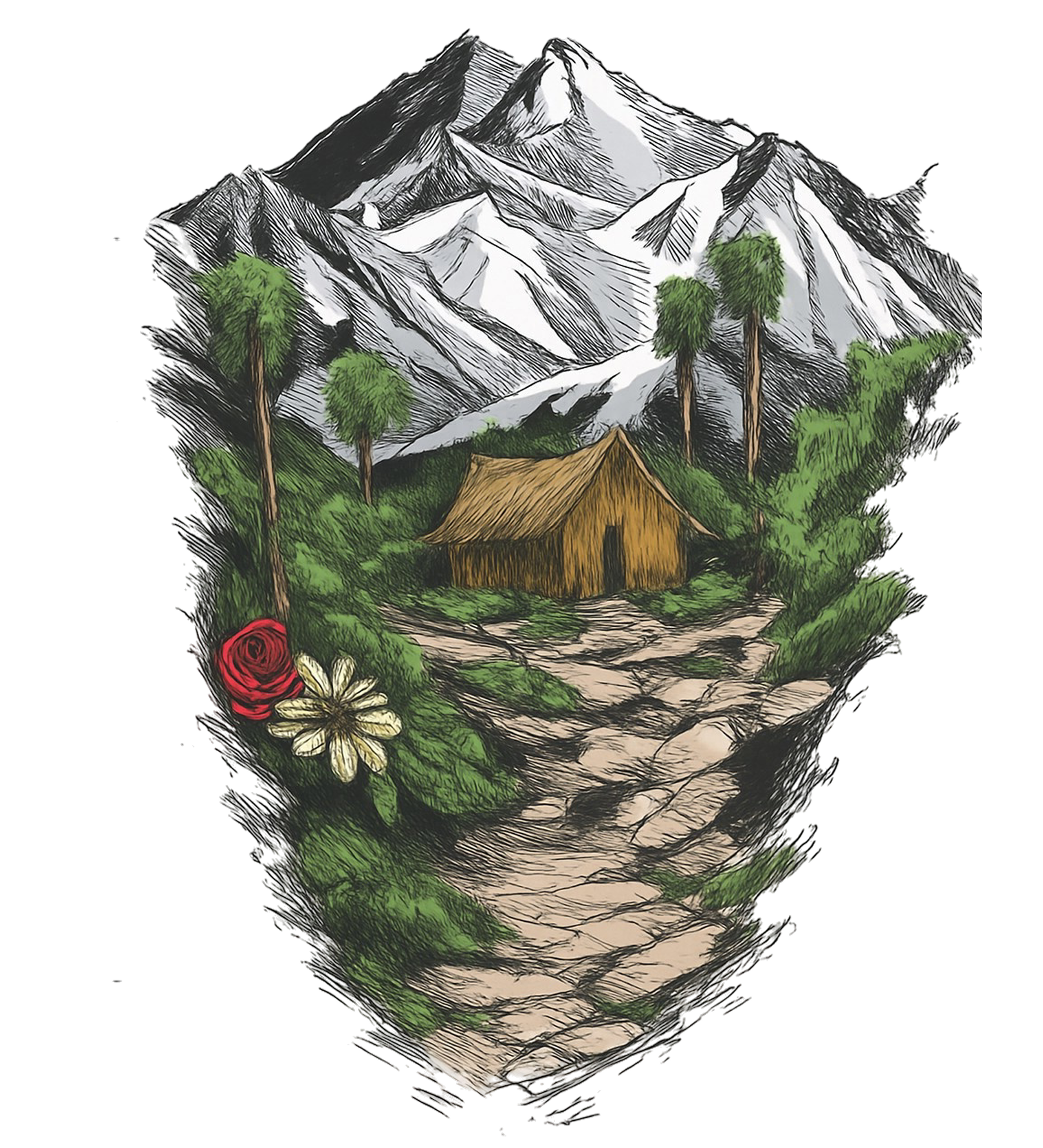 Hero image mountains